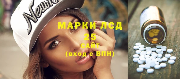 молекула духа Богородицк