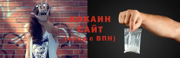 молекула духа Богородицк