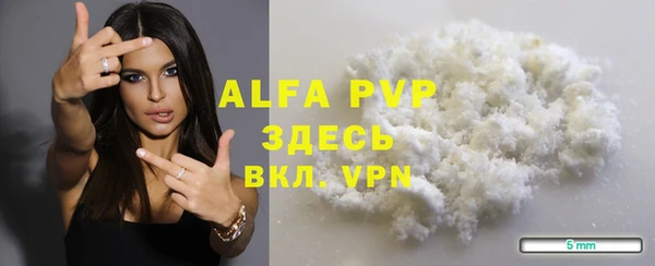 молекула духа Богородицк