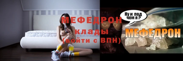 молекула духа Богородицк