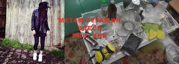 молекула духа Богородицк