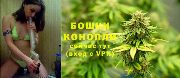 молекула духа Богородицк