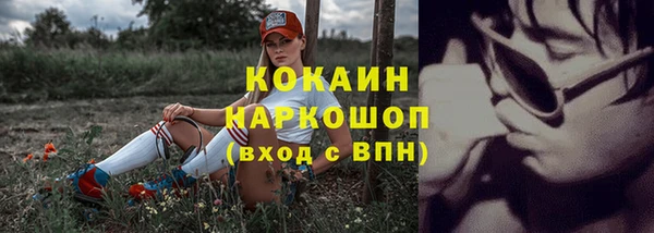 молекула духа Богородицк