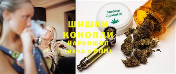 молекула духа Богородицк