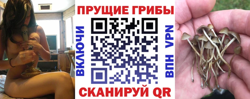 Купить где  Щёкино  Псилоцибиновые грибы мухоморы 